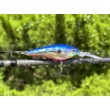 Rapala Harvest Shad Wobbler