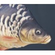 Μαξιλάρι Gaby - Dinky Carp