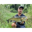 Sea Buzz Chub Bug