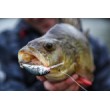 Воблер Salmo Hornet Floating