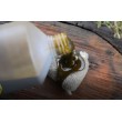 Attractant DB Premium Υγρή Τροφή για Κυπρίνους
