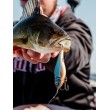 Воблер Rapala X-Rap Twitchin' Shad