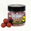 DB Hard Hookbaits