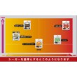 Seaguar Fune Harisu Fluorocarbon
