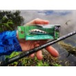 Sea Buzz TJ Minnow Wobbler