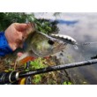 Sea Buzz TJ Minnow Wobbler
