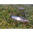Muikku Kuusamo Weedless Spoon
