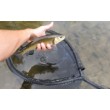 Кеп Filstar Pro Float Net - Oval