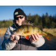 Rapala Shad Rap Elite Wobbler