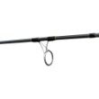 FilStar Carp Dynamics