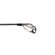 FilStar Carp Dynamics
