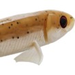 Șosea Westin Twinteez Pelagic V-Tail din silicon