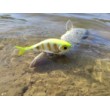 Wobbler Rapala Super Shadow Rap Glide