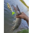 Wobbler Rapala Super Shadow Rap Glide