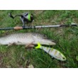Wobbler Rapala Super Shadow Rap Glide