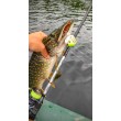 Wobbler Rapala Super Shadow Rap Glide