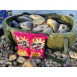 Mix de formulă DB Swim Stim Feeder pentru hrană