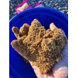 Mix de formulă DB Swim Stim Feeder pentru hrană