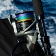 Okuma Tomcat