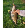 Въдица FilStar Venom River Crank