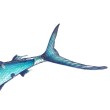 Διακόσμηση τοίχου EuroCatch 3D marlin