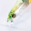 Wobbler Shimano Hirame Minnow SR 130S/130F Flash Boost