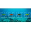Salmo Rattlin’ Executor SDR