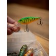 Salmo Rattlin’ Executor SDR