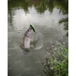 Westin Swim Glidebait