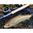 FilStar Legend Fly Reel