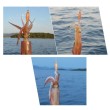 Καλαμάρι DTD Soft Real Fish