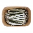 GT-Bio Roller Shad - Mega Box