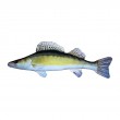 Cushion - Zander