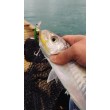 Sea Buzz Humpback Wobbler