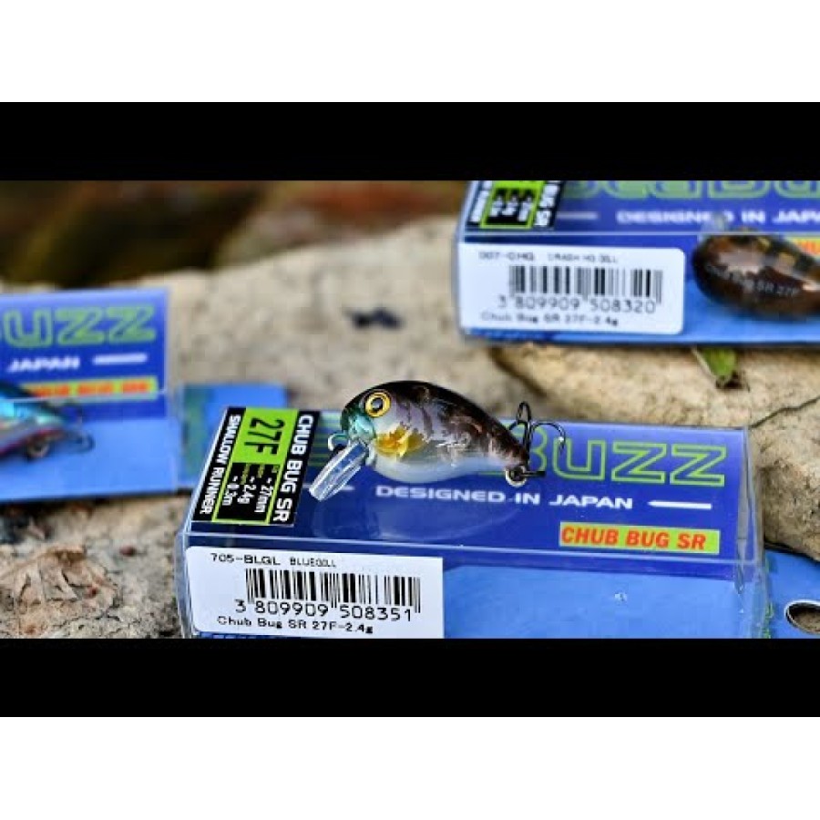 Sea Buzz Chub Bug