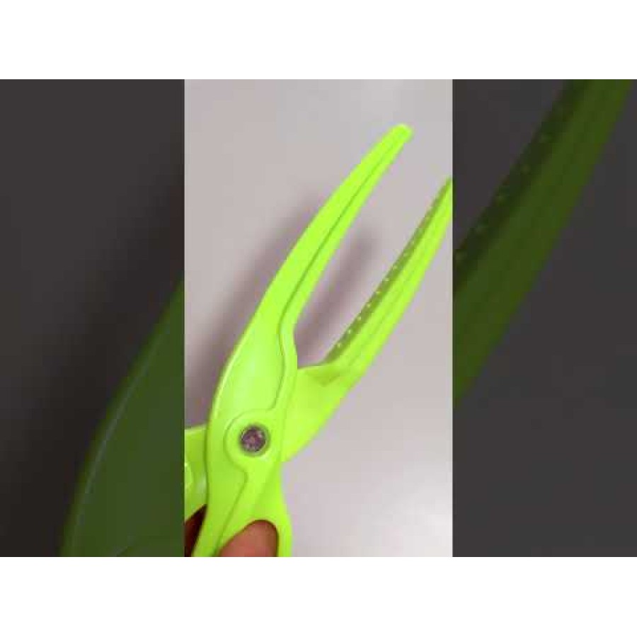 Lip Grip Filstar XD-54