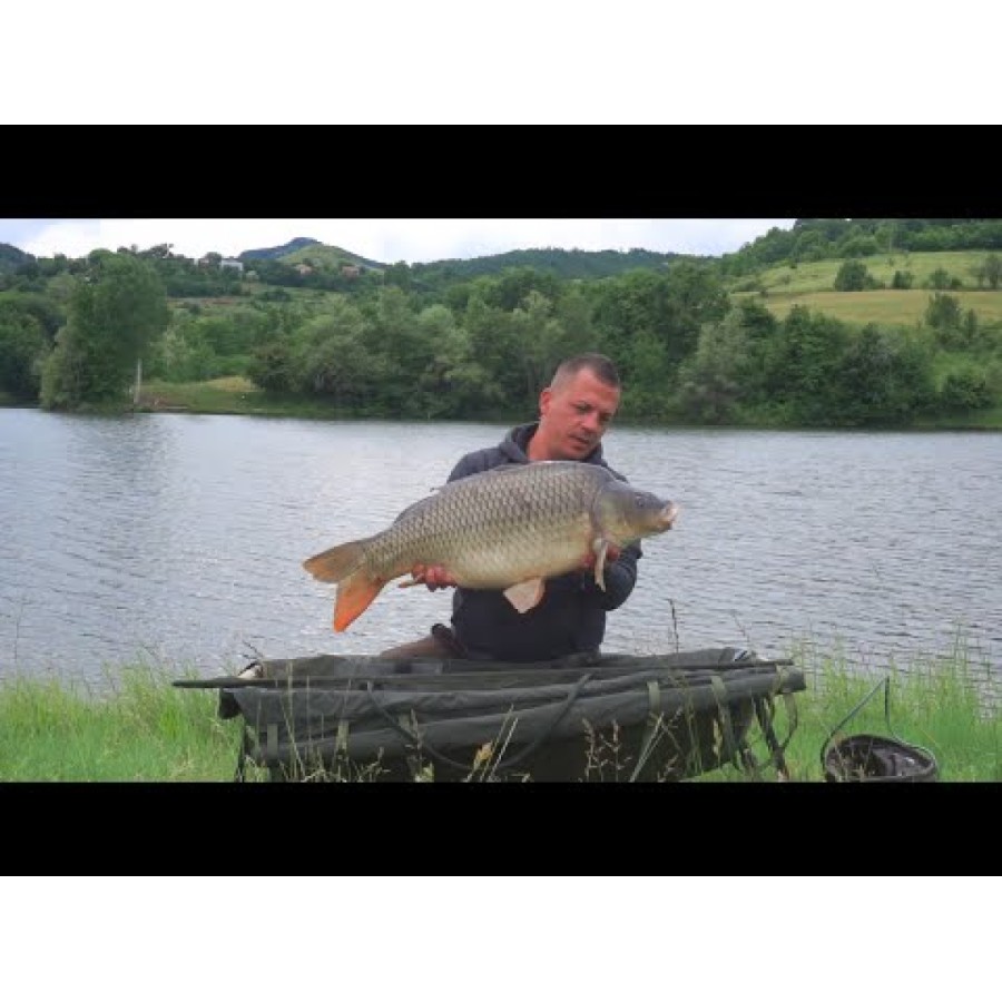 Πλωτές μπάλες Pop-Ups FilStar Premium Carp