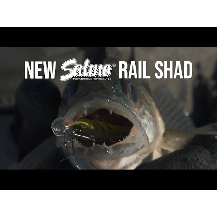 Rail Shad - sinking