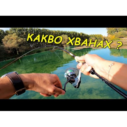 Sea Buzz TJ Minnow Wobbler