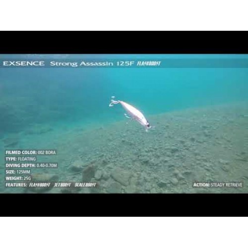 Angrenaj Shimano Exsence Strong Assassin 125F/125S Flash Boost