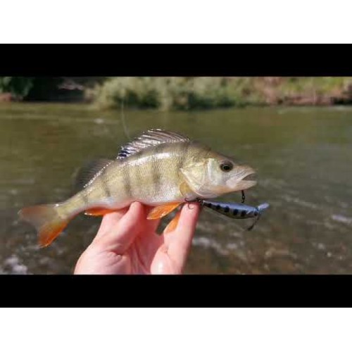 Sea Buzz TJ Minnow Wobbler