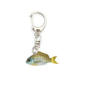Little Jack Micro Charikom Keychain