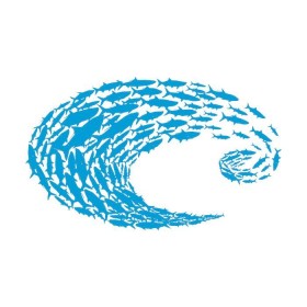 Decal Costa Blue Logo Schoolin